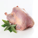 UK Donald Russell Wild Partridge 280g